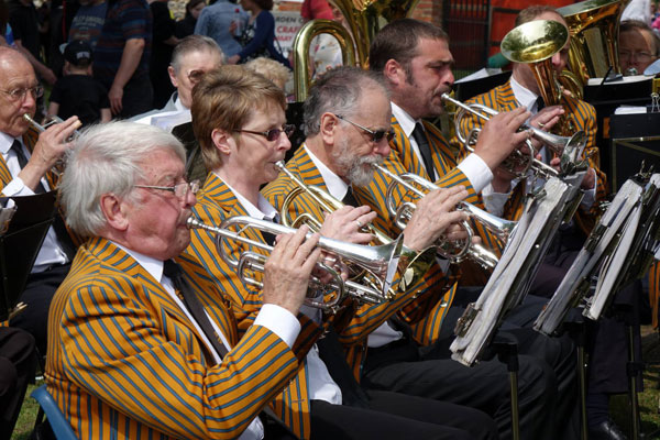 Much Hadham Fete - Band